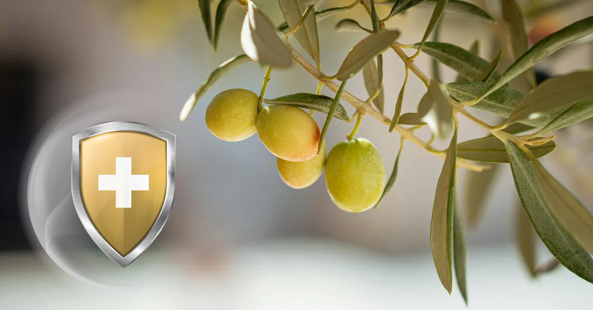 oliwa z oliwek extra virgin